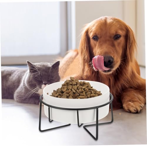 PENIKOKO Erhöhter Keramik Katzen Welpenfutternapf mit Rutschfestem Metallständer Stabilem Design Langlebig Einfach zu Reinigen für Komfortables Füttern Kleiner Haustiere PENIKOKO Erhöhter Keramik Katzen Welpenfutternapf mit Rutschfestem Metallständer Stabilem Design Langlebig Einfach zu Reinigen für Komfortables Füttern Kleiner Haustiere von PENIKOKO