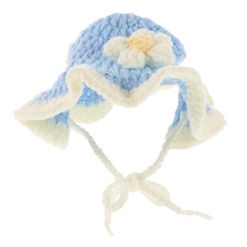 PENIKOKO Hundehut drinnen Plüsch Bestickt Katze gewebter Hut Haustierhut Kopfschmuck für Haustiere zarte Welpenmütze Heimtierbedarf Halloween-Hund-Mütze Polyester Sky-Blue von PENIKOKO