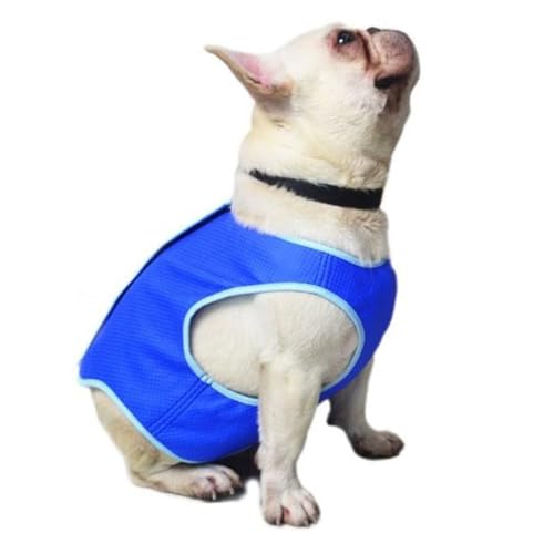 PENIKOKO Hundekühlweste Blau S Atmungsaktiv Leicht Waschbar Wiederverwendbar mit Kühlender PVA Mesh Hundeweste für Sommer und Hunde PENIKOKO Hundekühlweste Blau S Atmungsaktiv Leicht Waschbar Wiederverwendbar mit Kühlender PVA Mesh Hundeweste für Sommer und Hunde von PENIKOKO