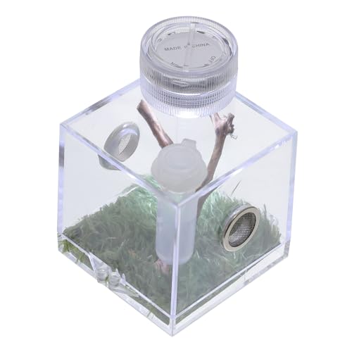 PENIKOKO Kleine Spinnen Transportbox aus Sicherem Material mit Integriertem Licht Tragbares Terrarium für Spinnen Insekten und Kleine Reptilien für Outdoor Nutzung und Aufzucht von PENIKOKO