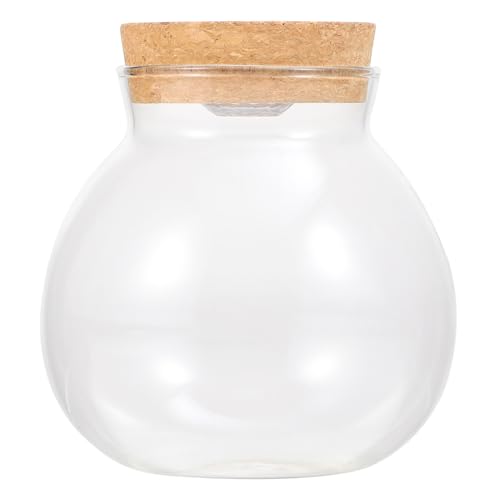 PENIKOKO LED Glasflasche mit LED Licht DIY Micro Landschaft Flasche Transparente Ökologische Vase für Hydroponik und Dekoration Kompakt Sicht für Kreative Mikrolandschaften von PENIKOKO