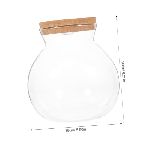 PENIKOKO LED Glasflasche mit LED Weißlicht DIY Mikrolandschaft Flaschengarten Transparentes Aquariumglas Glatte Oberfläche Dekoratives für Zuhause und Büro PENIKOKO LED Glasflasche mit LED Weißlicht DIY Mikrolandschaft Flaschengarten Transparentes Aquariumglas Glatte Oberfläche Dekoratives für Zuhause und Büro von PENIKOKO