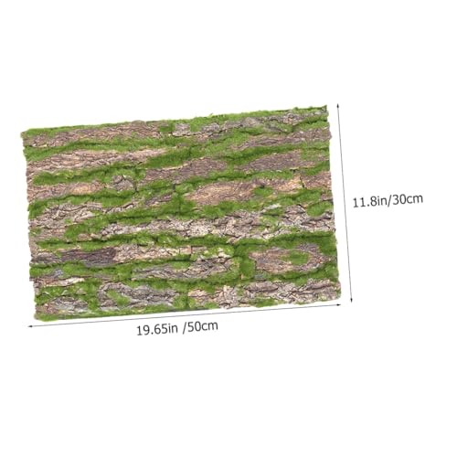 PENIKOKO Natürliche Korkrinde Terrarium Rückwand Reptilien Klettermatte Langlebig Zuschneidbar für Gecko Chamäleon Schildkröte Lebensraum Dekoration und Kletterplattform PENIKOKO Natürliche Korkrinde Terrarium Rückwand Reptilien Klettermatte Langlebig Zuschneidbar für Gecko Chamäleon Schildkröte Lebensraum Dekoration und Kletterplattform von PENIKOKO