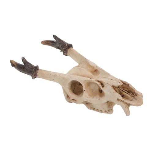 PENIKOKO Ornamente Für Die Von Haustieren Dekoration Reptilien Lebensraum Verstecke Für Reptilien Totenkopf Verstecke Für Lebensraum Für Frösche von PENIKOKO