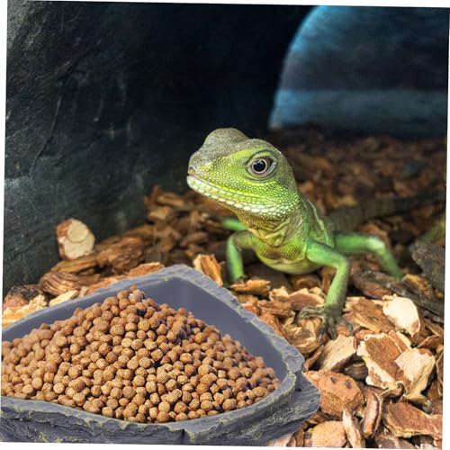 PENIKOKO Robuste Reptilien Futterschale aus Resin in Felsoptik Dunkelgrau Widerstandsfähiger Wassernapf und Futterteller für Kleine Echsen Schildkröten Geckos und Terrarientiere Leicht zu von PENIKOKO