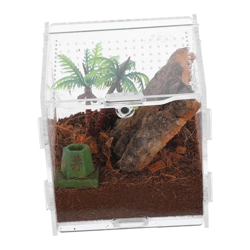 PENIKOKO Transparente Zuchtbox für Springspinnen Kleiner Terrarienbehälter für Haustiere für Jumping Spiders zu Pflegen Beobachten Platzsparendes Design von PENIKOKO