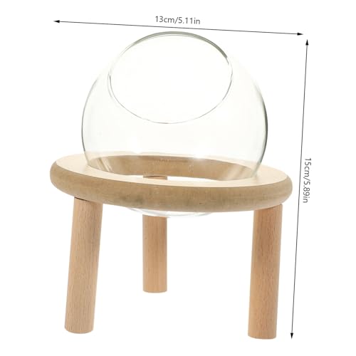 PENIKOKO Transparentes Hamster badehaus Sandbad Behälter Verschleißfest Praktisches Haustier Badezimmer Leicht zu Reinigen Rutschfester Hamster badezubehör für Zuhause von PENIKOKO
