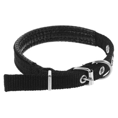 PENIKOKO Verstellbares Haustierhalsband für Kleine Komfortables Polyesterhalsband mit Robustem Legierungsverschluss Design für Welpen und Kleine Vielseitig Einsetzbar als Halsband oder PENIKOKO Verstellbares Haustierhalsband für Kleine Komfortables Polyesterhalsband mit Robustem Legierungsverschluss Design für Welpen und Kleine Vielseitig Einsetzbar als Halsband oder von PENIKOKO