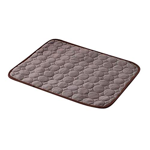 1 stück Kühlung Haustier Kissen Betten Für Hund Sommer Hund Kissen Für Reise Autositz Hundematte Plaid Easy Clean Dogs Supplies, Kaffee, 70x56 cm 1 stück Kühlung Haustier Kissen Betten Für Hund Sommer Hund Kissen Für Reise Autositz Hundematte Plaid Easy Clean Dogs Supplies, Kaffee, 70x56 cm von PENVEAT
