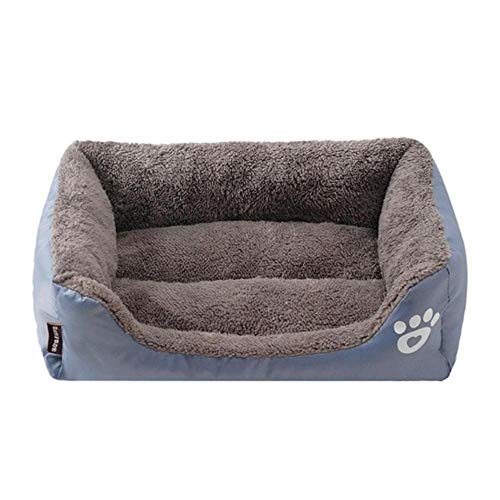PENVEAT Hundebett Pet Bolster Maschinenwaschbares Hundebett Selbstwärmend und kuschelig für verbesserten Schlaf Matratze Memory-Schaum für Hunde Katzen, Grau, S PENVEAT Hundebett Pet Bolster Maschinenwaschbares Hundebett Selbstwärmend und kuschelig für verbesserten Schlaf Matratze Memory-Schaum für Hunde Katzen, Grau, S von PENVEAT