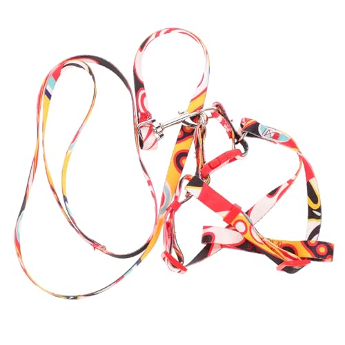 PEPLAYTAL 1 Satz Pet Leine mit Verstellbarem Brustgeschirr für Kleine und Mittelgroße Sicherheitsgeschirr mit Lange Leine für Joggen und Training PEPLAYTAL 1 Satz Pet Leine mit Verstellbarem Brustgeschirr für Kleine und Mittelgroße Sicherheitsgeschirr mit Lange Leine für Joggen und Training von PEPLAYTAL