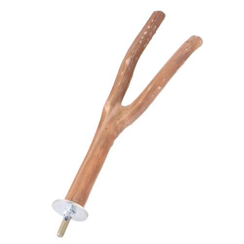 PEPLAYTAL 1 Stück Holzständer für Papageien Kleiner Gebogener Unterstand aus Holz und Krallenwetzen Zufällige Farbwahl für Langlebig Zufällige Farbe PEPLAYTAL 1 Stück Holzständer für Papageien Kleiner Gebogener Unterstand aus Holz und Krallenwetzen Zufällige Farbwahl für Langlebig Zufällige Farbe von PEPLAYTAL