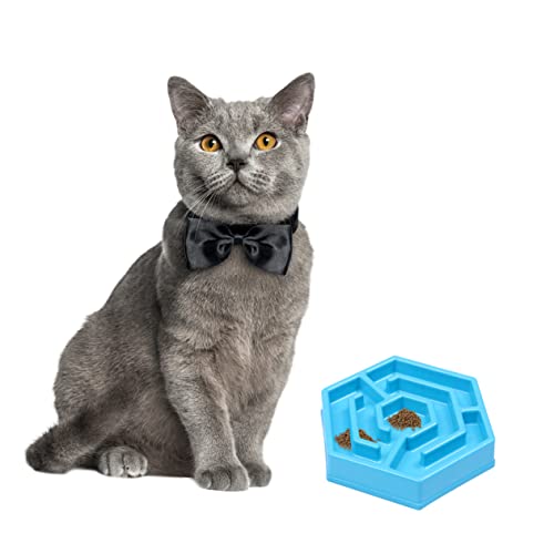 PEPLAYTAL 1 Stück Pet Schüssel für Langsames Fressen Kreative Blütenförmige für Katzen rutschfest aus Widerstandsfähigem Material für Kleine Haustiere PEPLAYTAL 1 Stück Pet Schüssel für Langsames Fressen Kreative Blütenförmige für Katzen rutschfest aus Widerstandsfähigem Material für Kleine Haustiere von PEPLAYTAL