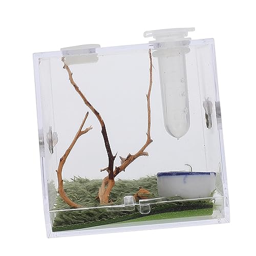 PEPLAYTAL 1Satz Spinnen Habitat Box Transparente Lebensraum Box für Springspinnen zu Reinigen und Tragbar Sicher für Haustiere für Pflege und Fütterung PEPLAYTAL 1Satz Spinnen Habitat Box Transparente Lebensraum Box für Springspinnen zu Reinigen und Tragbar Sicher für Haustiere für Pflege und Fütterung von PEPLAYTAL