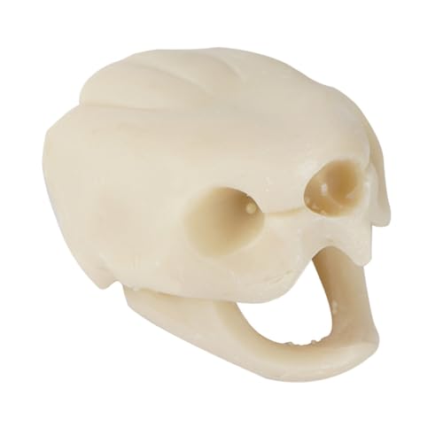 PEPLAYTAL 1Stück Simulation Schildkrötenschädel Aquarium Dekoration Realistischer Landschaftsschmuck für Fische und Krebstiere Sicheres Material zu Reinigen für Aquarien PEPLAYTAL 1Stück Simulation Schildkrötenschädel Aquarium Dekoration Realistischer Landschaftsschmuck für Fische und Krebstiere Sicheres Material zu Reinigen für Aquarien von PEPLAYTAL