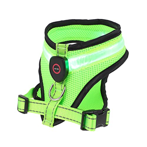 PEPLAYTAL 1satz USB-ladbare -hundeweste Atmungsaktive Und Leuchtende Sicherheitsweste Für Hunde Für Nächtliche Und Partys Aus Hautfreundlichem von PEPLAYTAL
