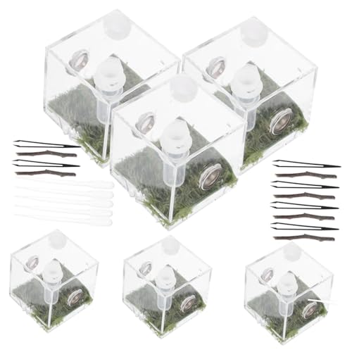 PEPLAYTAL 2 Sätze Springspinnen-zuchtbox Spinnenstreich Schmetterlingsnetzkäfig Geisterspinne Insekt Stabheuschrecke Terrarienset Tank Gehäuse Transparentes Haustiergehege Bausatz Acryl PEPLAYTAL 2 Sätze Springspinnen-zuchtbox Spinnenstreich Schmetterlingsnetzkäfig Geisterspinne Insekt Stabheuschrecke Terrarienset Tank Gehäuse Transparentes Haustiergehege Bausatz Acryl von PEPLAYTAL