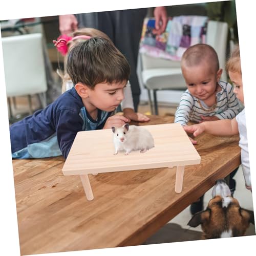 PEPLAYTAL 2 Stück Hamster Plattform aus Massivem Holz Robuste Spiel und Kletterplattform für Hamsterkäfig Beißfest und Verschleißfest als Kleintier und Nest Deko PEPLAYTAL 2 Stück Hamster Plattform aus Massivem Holz Robuste Spiel und Kletterplattform für Hamsterkäfig Beißfest und Verschleißfest als Kleintier und Nest Deko von PEPLAYTAL