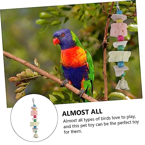 PEPLAYTAL 2 Stück Parrot Kauspielzeug mit Natürlichem Sepiaskalben Anhänger Calciumreicher Vogel Kauspielspaß für Wellensittiche Nymphensittiche und Kleine Papageien Zufällige Farbe von PEPLAYTAL