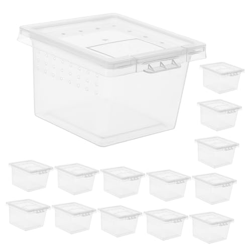 PEPLAYTAL 20Er-Box Futterbox für Haustiere Zucht Fütterung Reptiliengehege Schildkrötengehege Wächter Critter Box Insekten Box Kleiner Reptilienkäfig Käfig für Reptilienhalter pp Transparent von PEPLAYTAL