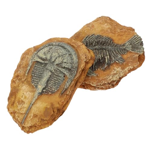 PEPLAYTAL 2Er-Box simuliertes Harzfossil versteinert Reptil Dekorationen Snake Box Ornaments Terrarium Decorations Crawler Box Decoration Gecko-Landschaft Simulationslandschaft von PEPLAYTAL