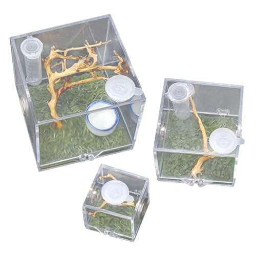 PEPLAYTAL 3 Stück Teiliges Acryl Springspinne Futterbox Stabiles Transparentes Insekten Reptiliengehege Tragbar Kompakt für Spinnenzucht und Beobachtung zu Hause und Büro von PEPLAYTAL