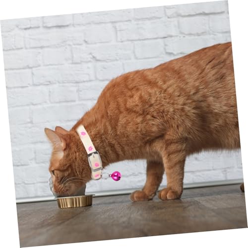 PEPLAYTAL 3 Stück Teiliges Fluoreszierendes Hundehalsband mit Glocke Leuchtendes Welpen Katzenhalsband Sicherheitsförderndes Hautfreundliches Nacht Partyzubehör für Kleine Zufällige Farbe von PEPLAYTAL