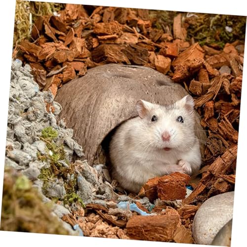 PEPLAYTAL 3 Stück Teiliges Hamsterversteck aus Natürlicher Kokosnussschale Sicheres Nagerhaus mit Glatten Kanten Langlebiges Rückzugsort für Hamster und Kleine Haustiere Spiel PEPLAYTAL 3 Stück Teiliges Hamsterversteck aus Natürlicher Kokosnussschale Sicheres Nagerhaus mit Glatten Kanten Langlebiges Rückzugsort für Hamster und Kleine Haustiere Spiel von PEPLAYTAL