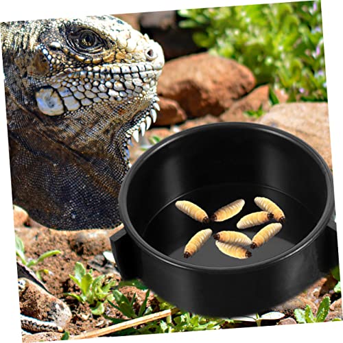 PEPLAYTAL 4 Stück Keramik Reptilien Futterschale Teiliges Glatte Oberfläche Verschleißfest Geeignet für Eidechsen Schildkröten Vögel und Kleine Tiere Dekorative Wasserschale für Terrarien PEPLAYTAL 4 Stück Keramik Reptilien Futterschale Teiliges Glatte Oberfläche Verschleißfest Geeignet für Eidechsen Schildkröten Vögel und Kleine Tiere Dekorative Wasserschale für Terrarien von PEPLAYTAL