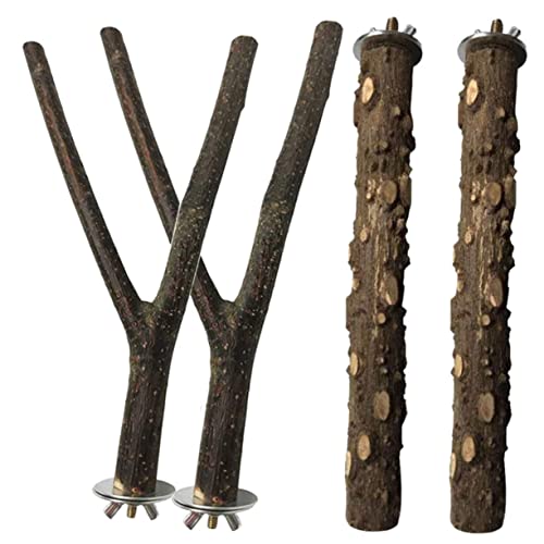 PEPLAYTAL 4 Stück Papageien Sitzstangen aus Robustem Material Kratzfester Kralle schleifstab Vogelkäfig Montageschraube als Kauspielzeug und Ruheplatz für Kleine Vögel PEPLAYTAL 4 Stück Papageien Sitzstangen aus Robustem Material Kratzfester Kralle schleifstab Vogelkäfig Montageschraube als Kauspielzeug und Ruheplatz für Kleine Vögel von PEPLAYTAL