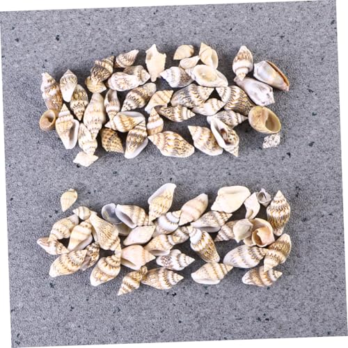PEPLAYTAL 500 Stück Natürliche Kleine Muscheln für Dekoration Vielseitige Meeresdeko für Aquarium Zuhause und Bastelprojekte Bunte Strandornamente für Kreative DIY Projekte von PEPLAYTAL