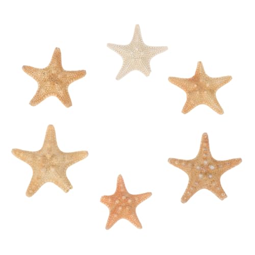 PEPLAYTAL 6 Stück Teiliges Natürliche Seesterne für DIY Mikro landschaftsbau Vielseitige Dekoration für Aquarium Fischbecken und Bastelprojekte Farblich Zufällig Zufällige Zufällige Farbe von PEPLAYTAL