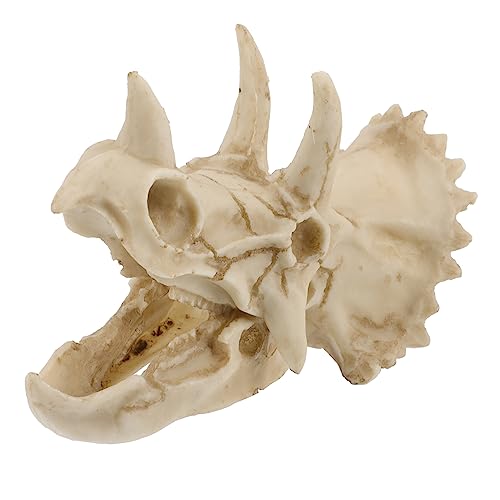 PEPLAYTAL Aquarium Dekoration Ornament Terrariumdekor Dekorationen Tank Höhle bastelzeug Dino schädel Reptilien Dekoration Aquarium Dinosaurierschädel dekorativer Dinosaurierschädel Harz PEPLAYTAL Aquarium Dekoration Ornament Terrariumdekor Dekorationen Tank Höhle bastelzeug Dino schädel Reptilien Dekoration Aquarium Dinosaurierschädel dekorativer Dinosaurierschädel Harz von PEPLAYTAL