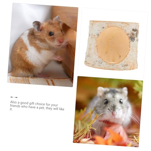 PEPLAYTAL Birkenholz Hamster Tunnel Haustiertunnel Versteck für Kleine Nager Wie Hamster Chinchilla Zwergmäuse Atmungsaktiv Sicher und Komfortabel Dekoratives Haustierzubehör PEPLAYTAL Birkenholz Hamster Tunnel Haustiertunnel Versteck für Kleine Nager Wie Hamster Chinchilla Zwergmäuse Atmungsaktiv Sicher und Komfortabel Dekoratives Haustierzubehör von PEPLAYTAL
