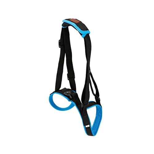 PEPLAYTAL GEH Unterstützungsgurt für Ältere mit Schwachen Hinterbeinen XL für Treppen und Bequemes Atmungsaktives Mesh Material von PEPLAYTAL