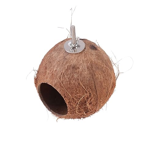 PEPLAYTAL Hamster Kokosnussschale Hängende Kreatives Schlafnest für Kleine Haustiere Wie Hamster und Durchmesser für Natürlichen PEPLAYTAL Hamster Kokosnussschale Hängende Kreatives Schlafnest für Kleine Haustiere Wie Hamster und Durchmesser für Natürlichen von PEPLAYTAL