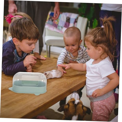 PEPLAYTAL Hamster Sandbad Box Grün Kleine Haustier Toilette Badewanne mit Tiefen Kanten Für Hamster Chinchilla Igel Mäuse Einfach Zu Reinigen Langlebig von PEPLAYTAL