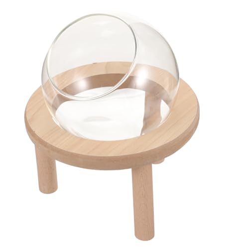 PEPLAYTAL Hamster Sandbadewanne Holzuntergrund Transparentes Badezimmer für Hamster und Chinchillas zur Täglichen Nutzung und Pflege Kleiner Haustiere von PEPLAYTAL