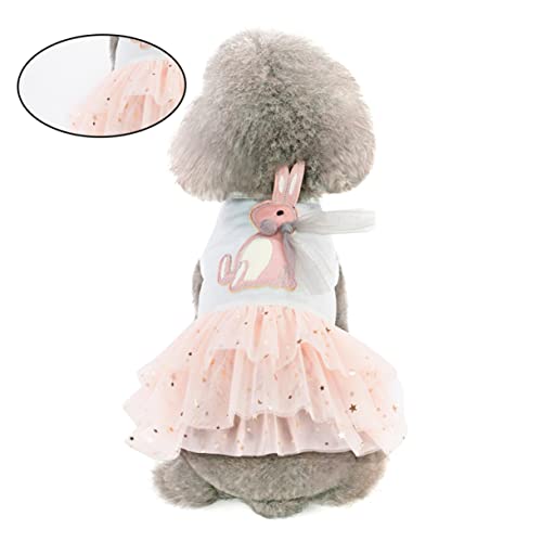 PEPLAYTAL Pet Rockabilly Kleid Tutu Rock Mit Spitze Für Hunde Outfit Für Partys Und Outdoor-aktivitäten Pflegeleicht Und Bequem Für Besondere Anlässe Oder Einfach Zum Spaß von PEPLAYTAL
