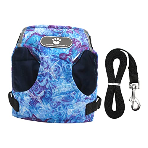PEPLAYTAL Hundegeschirr Set mit Reflektierendem Brustgeschirr und Leine Atmungsaktive Haustierweste für Kleine bis Mittelgroße für Outdoor Aktivitäten PEPLAYTAL Hundegeschirr Set mit Reflektierendem Brustgeschirr und Leine Atmungsaktive Haustierweste für Kleine bis Mittelgroße für Outdoor Aktivitäten von PEPLAYTAL