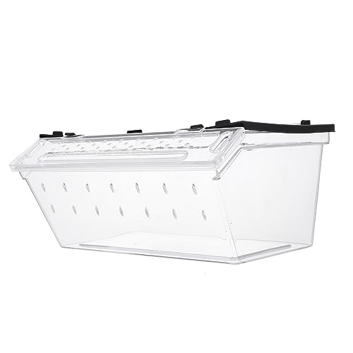 PEPLAYTAL Kasten Terrarium Lizard breeding Box Spider Hatching Container Reptile Container Zucht füttern schleichtiere Krabbeltierbehälter Ausstellungsbehälter für Klettertiere Plastik Black von PEPLAYTAL