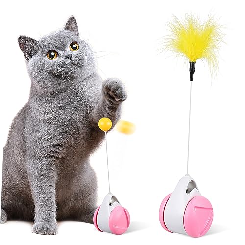PEPLAYTAL Katzenspielzeug Auto Mit Teaser Interaktives Katzenspielzeug Für Selbstbeschäftigung Fördert Koordination Und Balance Sicher Bedienen PEPLAYTAL Katzenspielzeug Auto Mit Teaser Interaktives Katzenspielzeug Für Selbstbeschäftigung Fördert Koordination Und Balance Sicher Bedienen von PEPLAYTAL