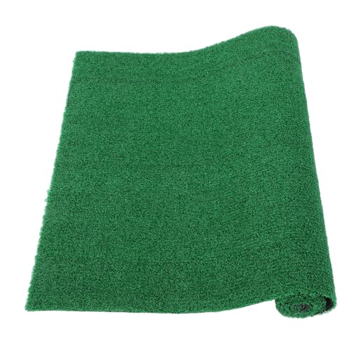 PEPLAYTAL Künstliche Gras Matte für Schildkröten Realistischer Rasen Wasser Schildkröte Rampe Langlebig und Optisch Ansprechend für Aquarien und Terrarien PEPLAYTAL Künstliche Gras Matte für Schildkröten Realistischer Rasen Wasser Schildkröte Rampe Langlebig und Optisch Ansprechend für Aquarien und Terrarien von PEPLAYTAL