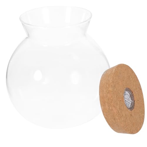 PEPLAYTAL LED Glasflasche mit LED Licht Transparente Ökologische Mikrolandschaft DIY Miniatur Landschaftsbottle für Wohnraumdekoration Sicht Kompakt und Dekorativ PEPLAYTAL LED Glasflasche mit LED Licht Transparente Ökologische Mikrolandschaft DIY Miniatur Landschaftsbottle für Wohnraumdekoration Sicht Kompakt und Dekorativ von PEPLAYTAL