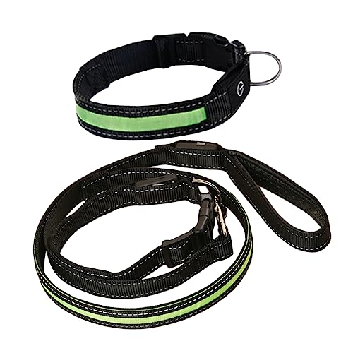 PEPLAYTAL LED Leuchtende Hundeleine mit Halsband USB Aufladbar für Kleine und Mittlere Nylonmaterial Sicherer Nachthundespaziergang Ergonomisches Design PEPLAYTAL LED Leuchtende Hundeleine mit Halsband USB Aufladbar für Kleine und Mittlere Nylonmaterial Sicherer Nachthundespaziergang Ergonomisches Design von PEPLAYTAL