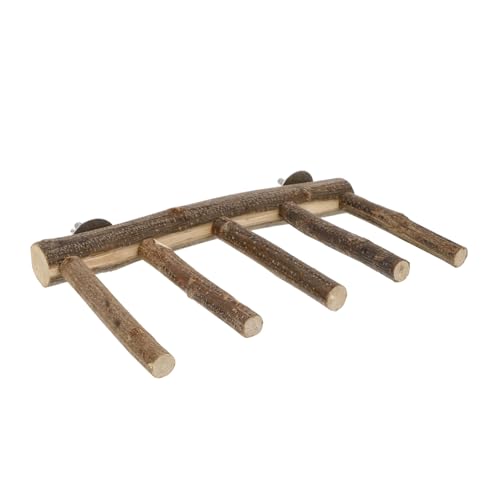 PEPLAYTAL Papagei Vogelkäfig-papageienspielzeug Vogelsitzstangenzaun Vogelkäfige Für Papageien Vogel Steht Für Papageien Papageienstange Papageienspielplatz Hölzern Light Brown von PEPLAYTAL