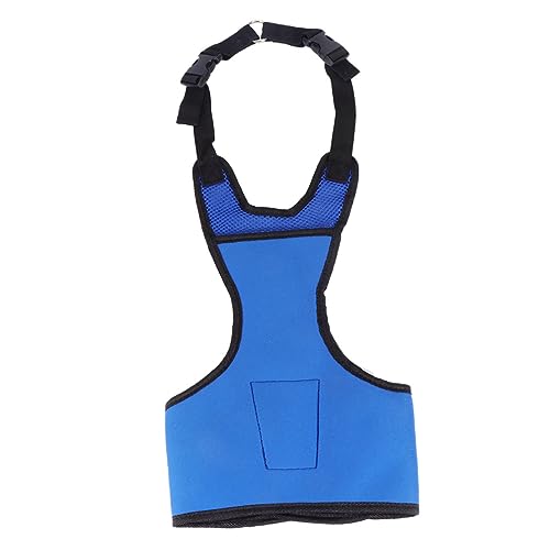 PEPLAYTAL Pet Cooling Harness für Verstellbares Kühlgeschirr aus Atmungsaktivem Material für Mittelgroße bis Große Aktivitäten im Freien PEPLAYTAL Pet Cooling Harness für Verstellbares Kühlgeschirr aus Atmungsaktivem Material für Mittelgroße bis Große Aktivitäten im Freien von PEPLAYTAL