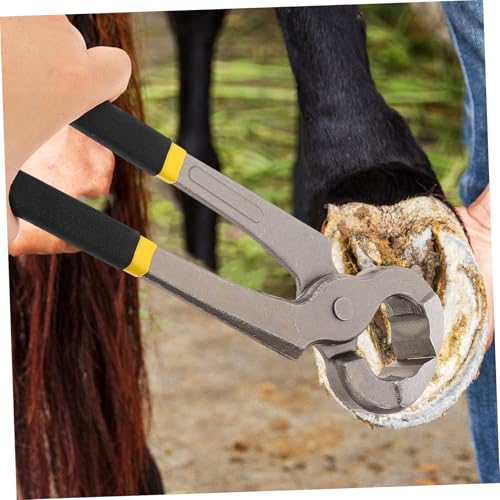 PEPLAYTAL Professionelle Hufzange aus Robustem Metall Verschleißfest und Bruchstabil Multifunktionaler Klauen und Hufschneider für Rinder Schafe und Ziegen Ergonomisch mit Glatten Kanten PEPLAYTAL Professionelle Hufzange aus Robustem Metall Verschleißfest und Bruchstabil Multifunktionaler Klauen und Hufschneider für Rinder Schafe und Ziegen Ergonomisch mit Glatten Kanten von PEPLAYTAL