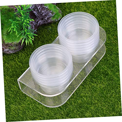 PEPLAYTAL Reptilien Futter und Wassernäpfe Klein Magnet Terrarium Zubehör für Schildkröten Eidechsen Frösche Terrapins Einfache Praktische Futterstation von PEPLAYTAL