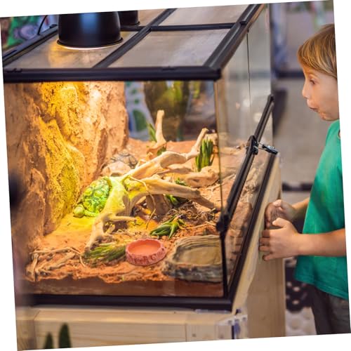 PEPLAYTAL Reptilien Futterschale aus Resin Kippsichere Wassernapf und Futterstelle für Echsen Schildkröten Geckos Leicht Langlebig und Einfach zu Reinigen für Terrarien und Reptilienhaltung PEPLAYTAL Reptilien Futterschale aus Resin Kippsichere Wassernapf und Futterstelle für Echsen Schildkröten Geckos Leicht Langlebig und Einfach zu Reinigen für Terrarien und Reptilienhaltung von PEPLAYTAL